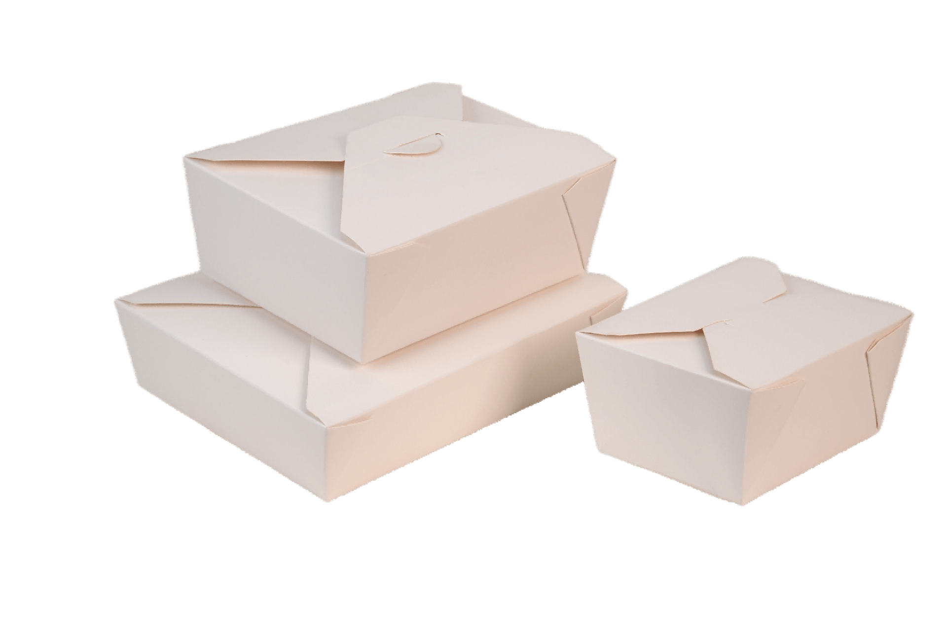 White Takeaway Containers